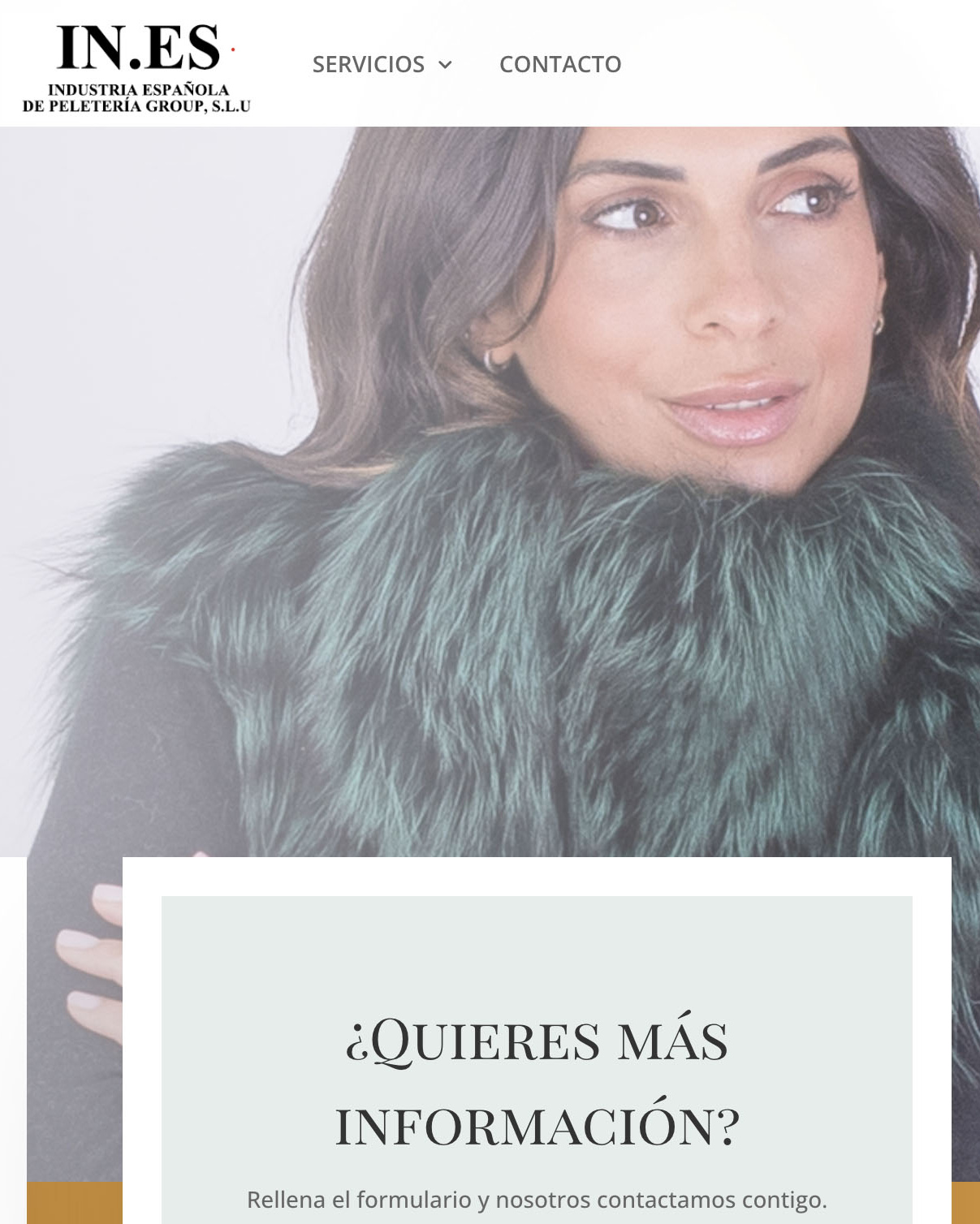 Tienda online diseñada por Polo Estudio